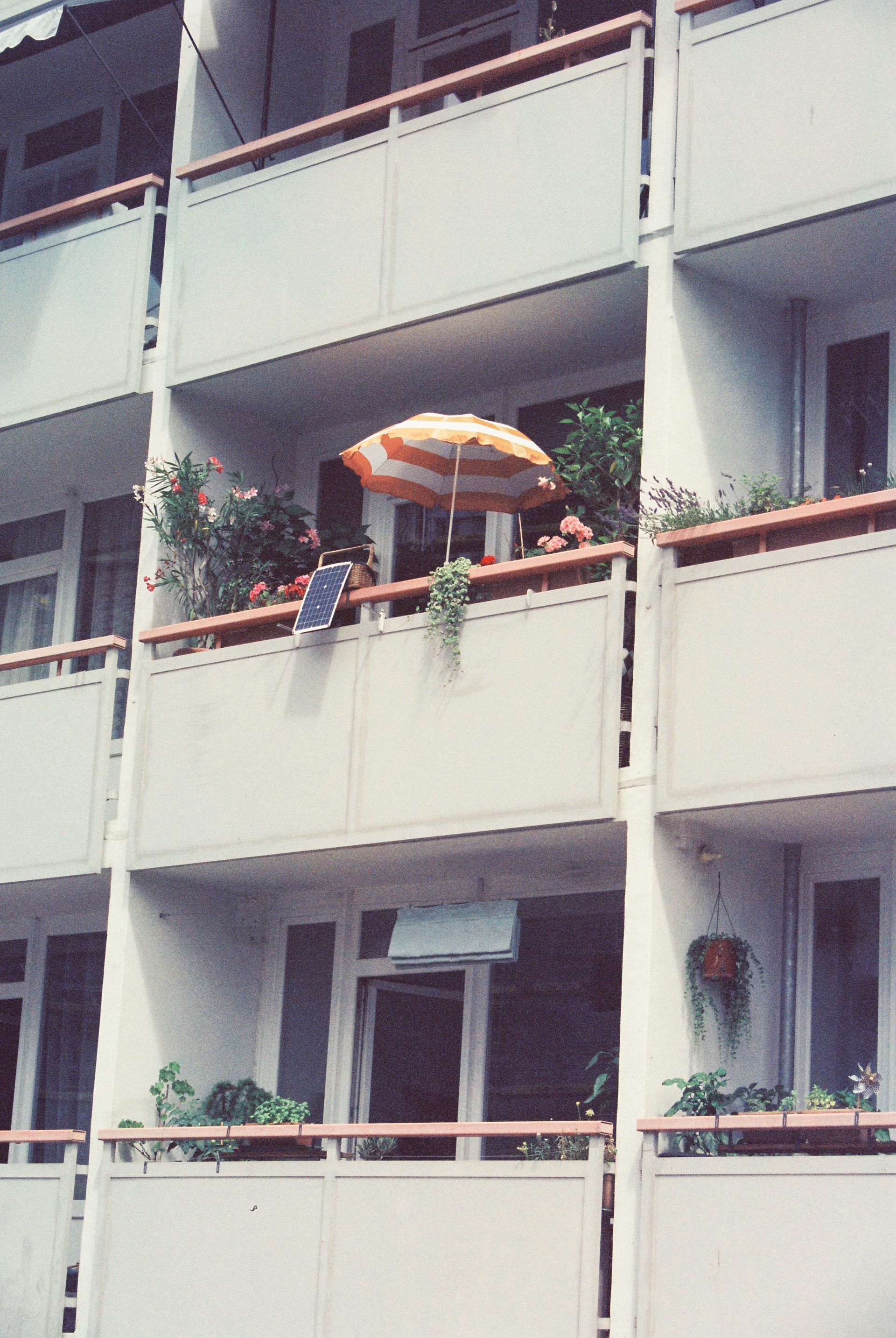 Diseño web 2