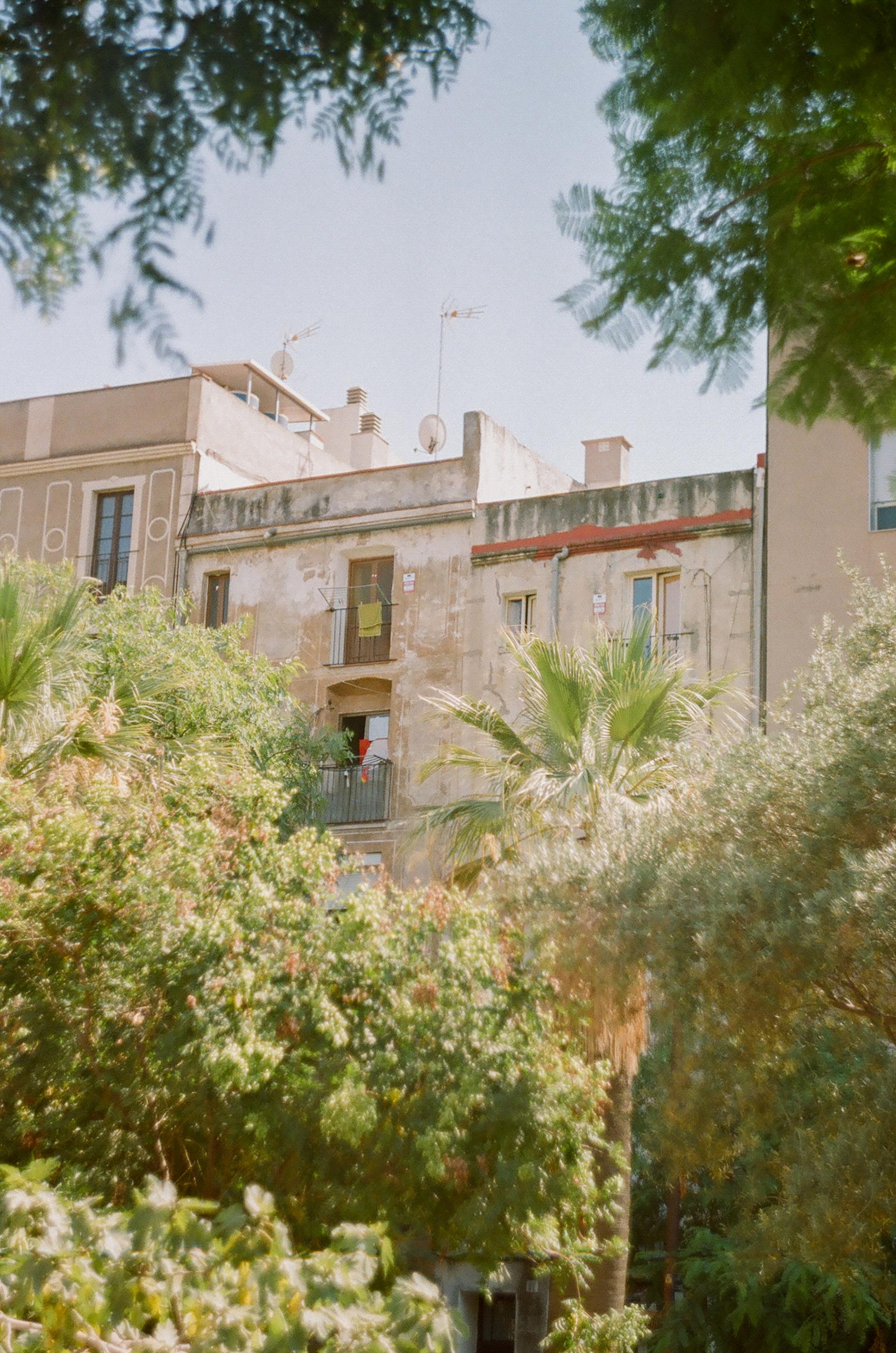 Fotografía analógica 2